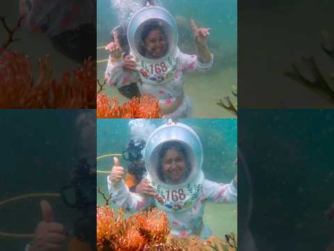 Coral Island Pattaya Thailand #underwater #watersport