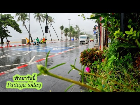 ชายหาดพัทยาเช้านี้ 🚶‍♂️ Pattaya Beach Road today 🕐 10.00 am.