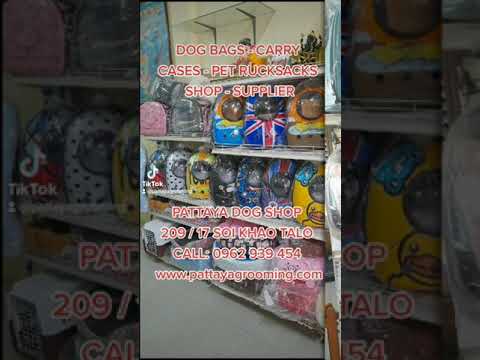 GIRLS IN PATTAYA, PATTAYA BAR GIRLS, PATTAYA GIRLIE BARS, PATTAYA COCONUT BAR, STREET GIRLS, BARS.