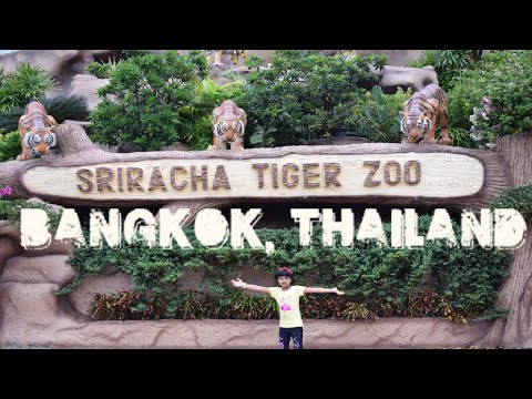 SRIRACHA TIGER ZOO PATTAYA | THAILAND | BANGKOK | World Tour | International Holidays|