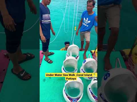 Under Water Sea Walk ,Coral Island, Pattaya #thriller #short