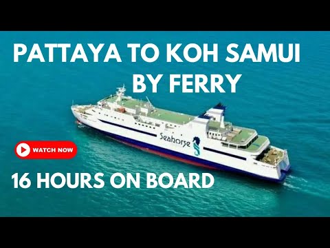 We travelled from Pattaya to Koh Samui on the Seahorse ferry & it was  amazing