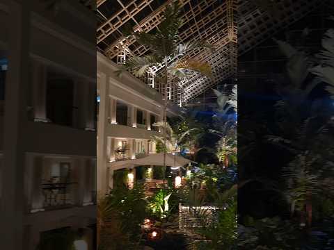 Pattaya ke bars aur Dusit Thani Hotel Pattaya Thailand #thailand #pattaya #nightlife #thaifood