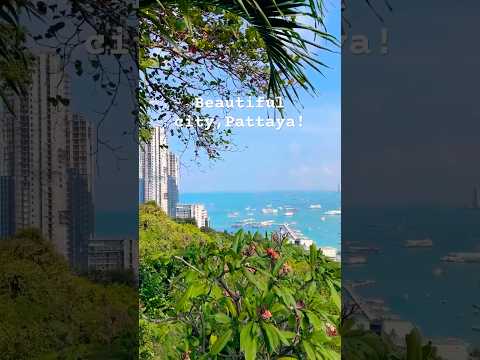 Beautiful city located in Thailand! Pattaya city 🌇🌊 #thailand #pattaya #beautiful #views #fy #fyp