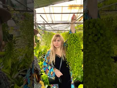 ЦВЕТОЧНЫЙ РАЙ ДЛЯ ЖЕНЫ❤️#thailand #таиланд #pattaya #паттайя #паттайя2024 #thailandtravel