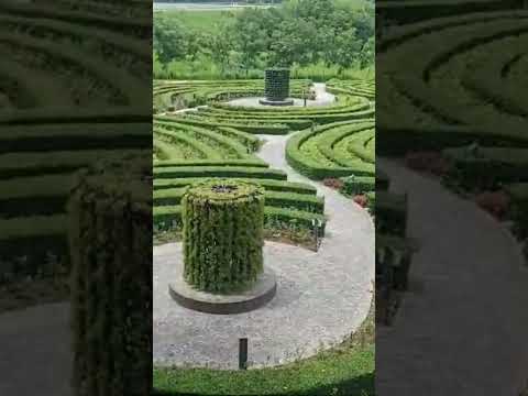 #pattaya #india , #indian #thailand #cafe # resort #garden #bangkok #china #greenscreen #desi