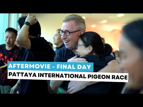 Pattaya International Pigeon Race: the aftermovie