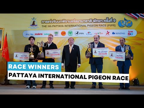 Pattaya International Pigeon Race Winners 2025