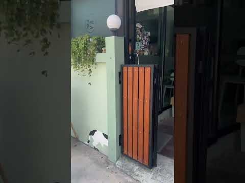 Un roaster café entre les #bars de #Pattaya sur la 3e road en #thailande