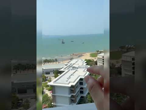 Kevin & Daffy Shorts – Watching the Horizon and View of Pattaya #Pattaya