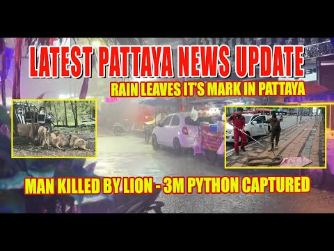 Pattaya SHOCKWAVE! 🚨 Missing Tourist, Lion Attack & Beach Cleanup!