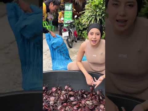 WoW-Thai Street Food